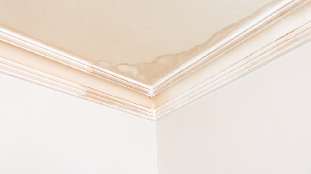 What Causes Roof Leaks During Heavy Rain in Metairie - rood repair in metairie - synergy roofing